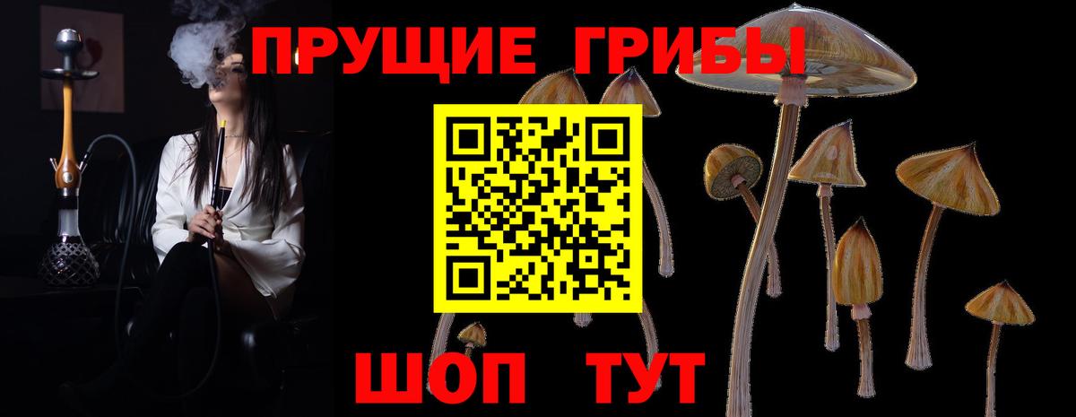 Псилоцибиновые грибы Cubensis  Вход с VPN  Галлюциногенные грибы Psilocybe  Михайловск 